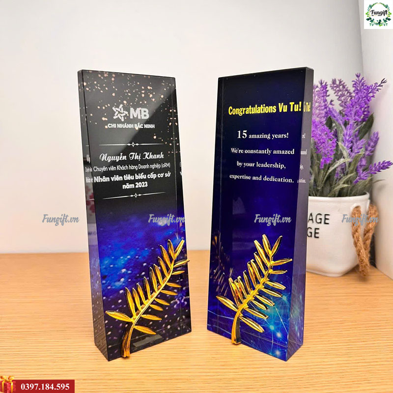 Kỷ niệm chương pha lê in tên