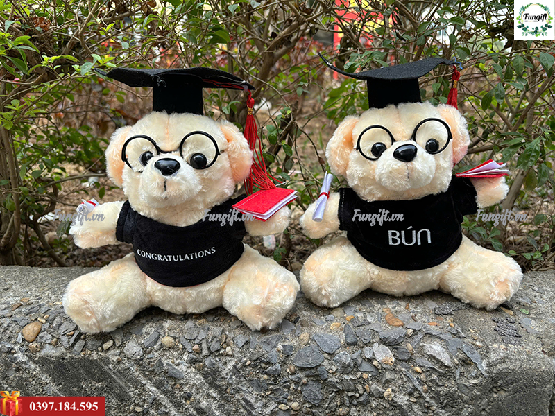 Gấu bông tốt nghiệp giá rẻ
