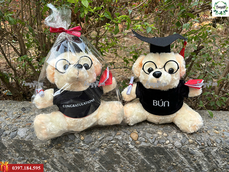 Gấu bông tốt nghiệp Hà Nội