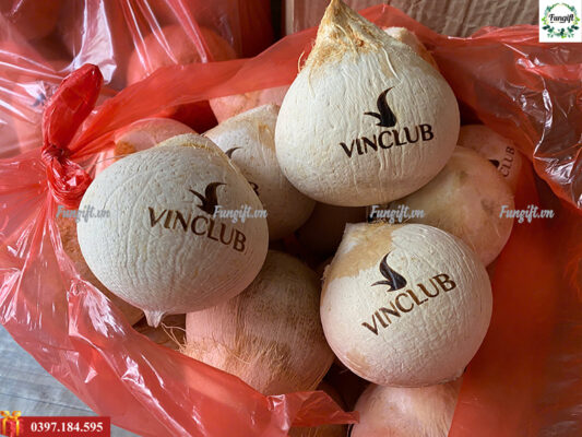 Dừa xiêm khắc hình, logo theo yêu cầu