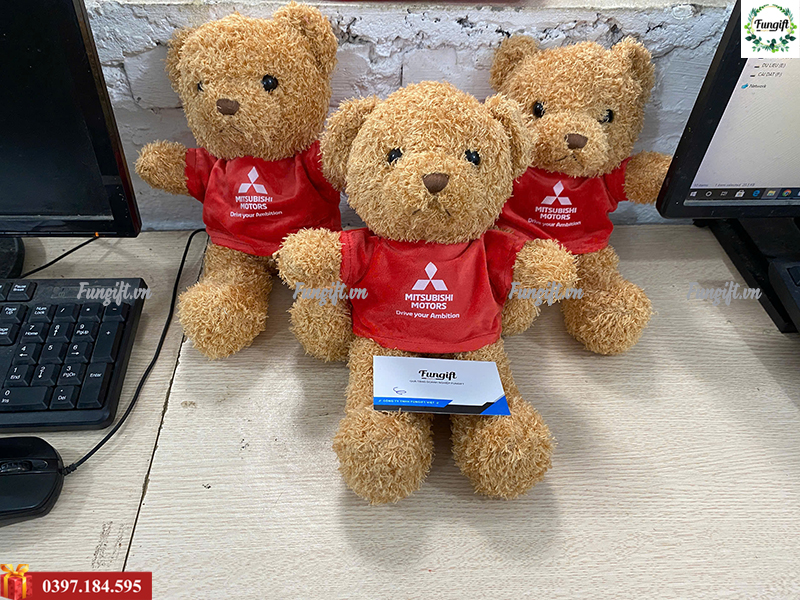 Gấu bông teddy 30cm
