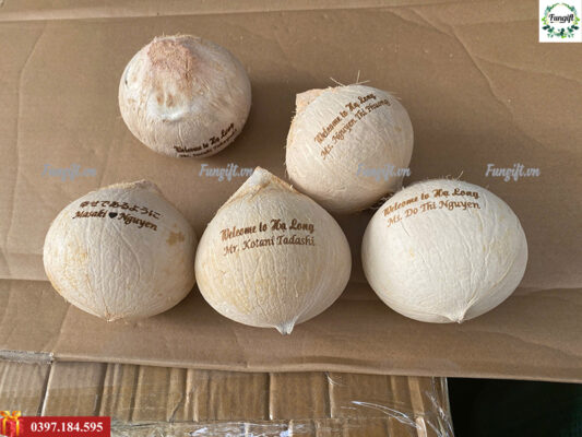 Khắc laser khắc chữ lên trái dừa theo yêu cầu