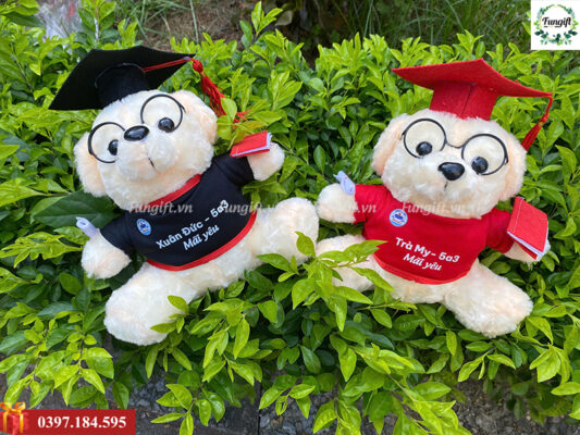 Gấu bông tốt nghiệp in logo