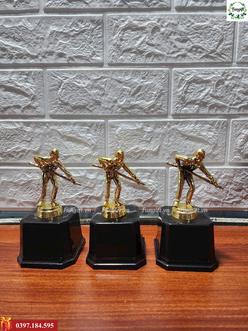 Kỷ niệm chương bida giá rẻ