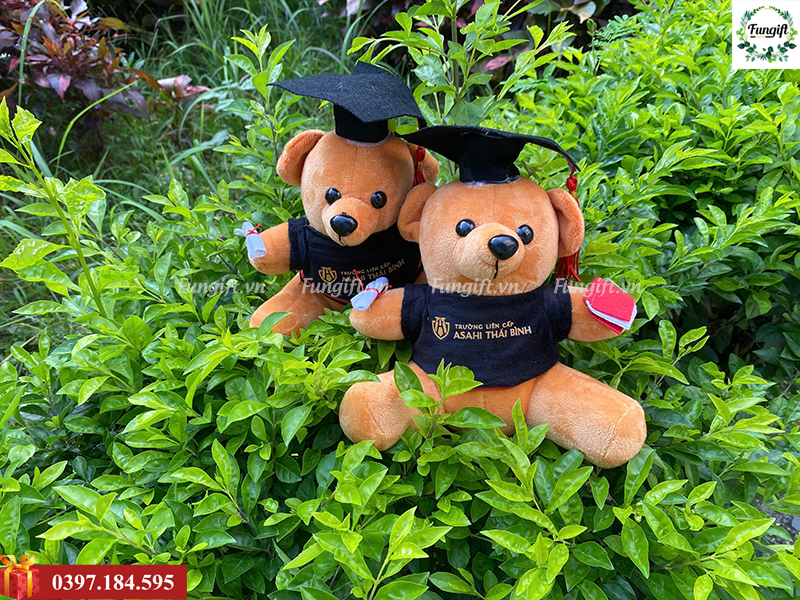 Gấu bông tốt nghiệp Hà Nội