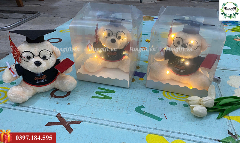 Gấu bông tốt nghiệp Hà Nội