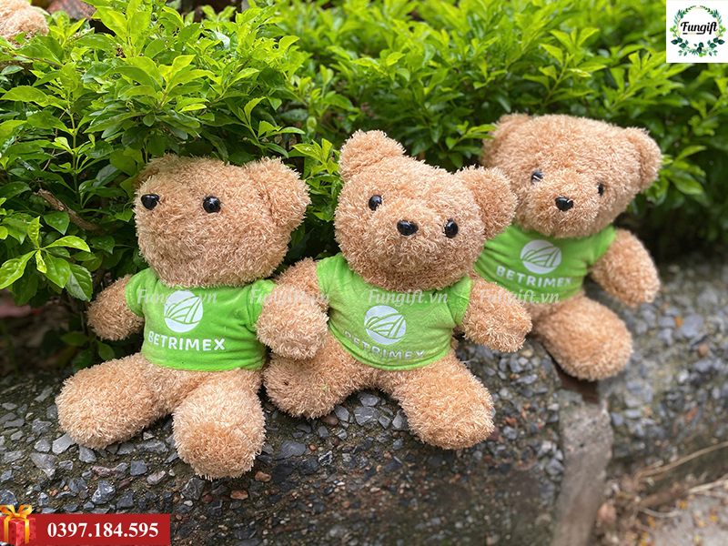 In gấu bông theo yêu cầu