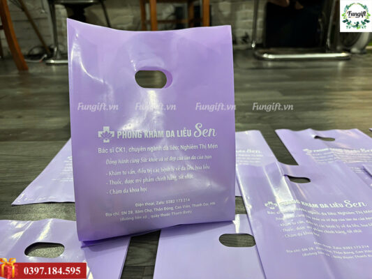 In túi bóng theo yêu cầu Hà Nội