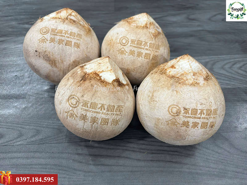 Khắc laser khắc chữ lên trái dừa