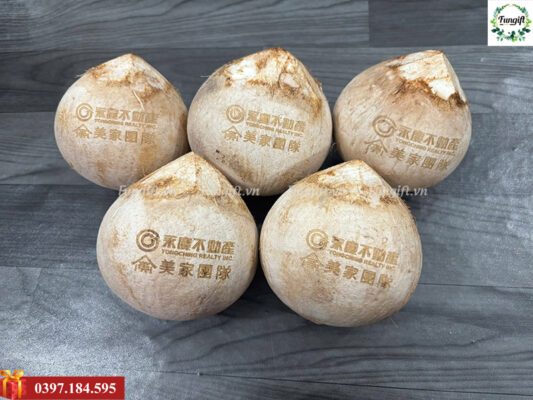 Khắc logo lên trái dừa