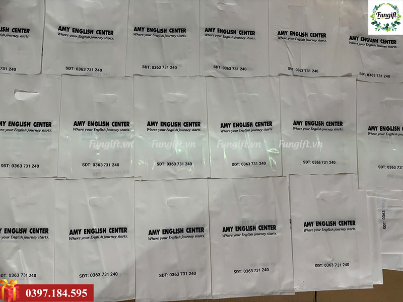 Túi hột xoài túi nilon in logo