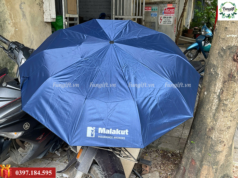 In ô  theo yêu cầu Hà Nội