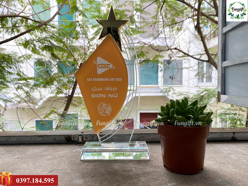 Kỷ niệm chương ngôi sao khen thưởng