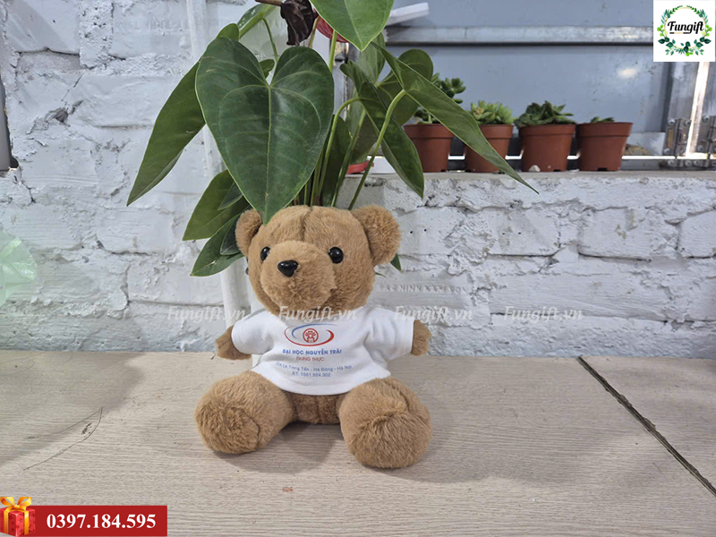 Sản xuất gấu 22cm số lượng lớn