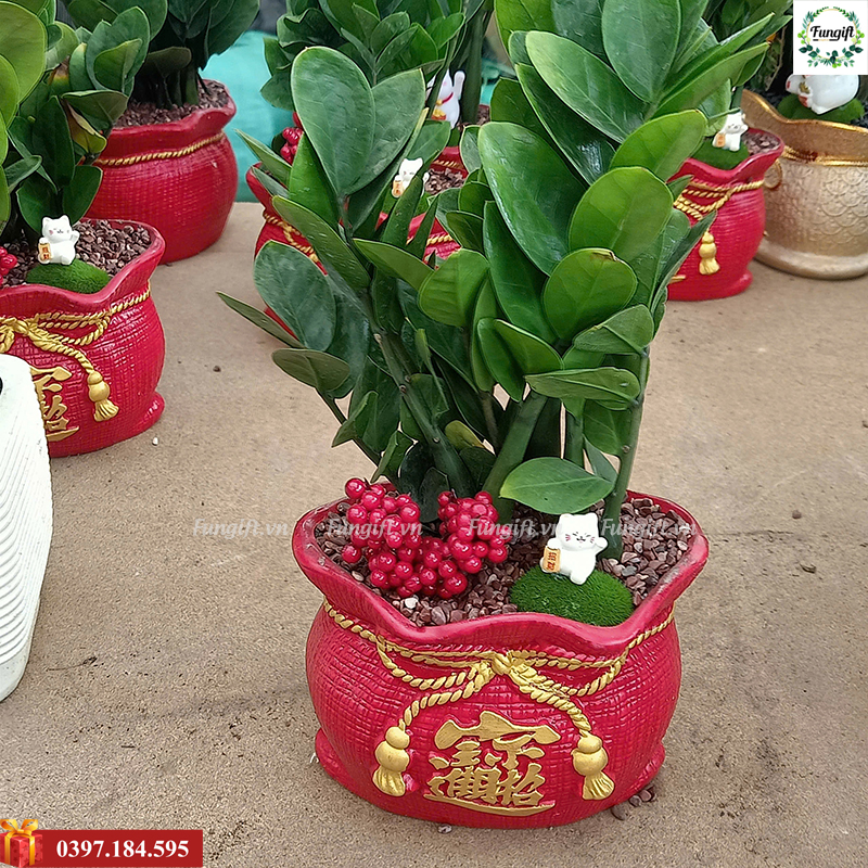 Chậu cây cảnh mini để bàn