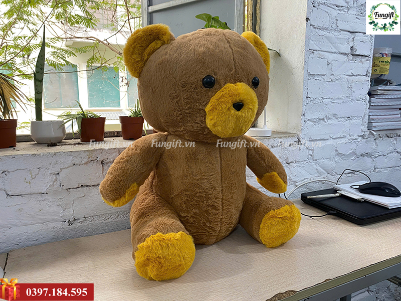 Gấu bông teddy 80cm