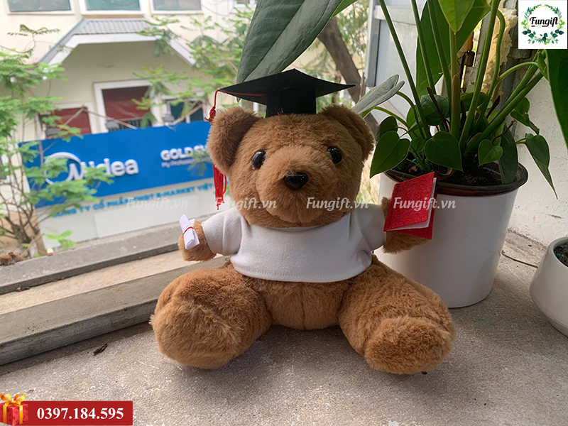 Gấu bông tốt nghiệp cử nhân