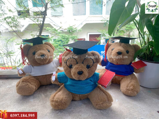 Gấu bông tốt nghiệp giá rẻ