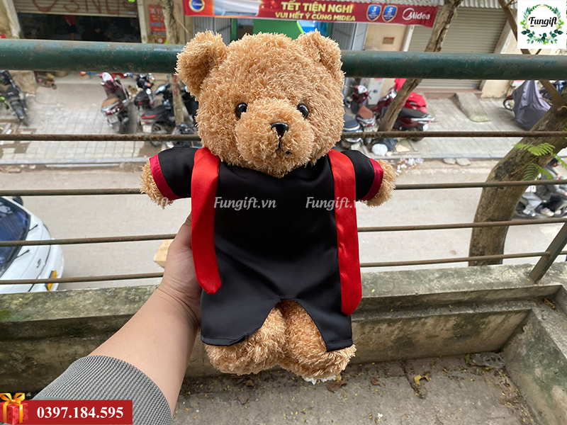 Gấu bông tốt nghiệp giá rẻ tại Hà Nội
