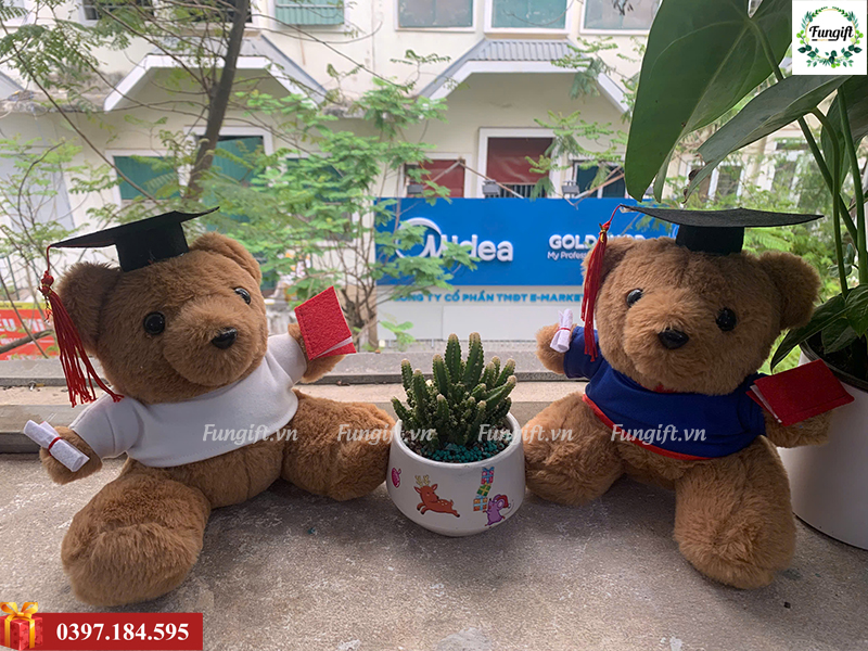 Gấu bông tốt nghiệp giá sỉ size 20cm