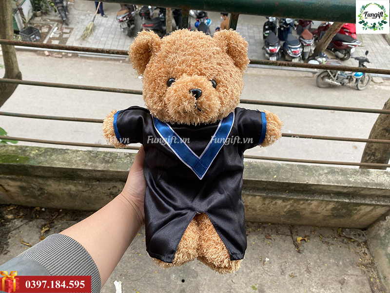 Gấu teddy tốt nghiệp lông xù