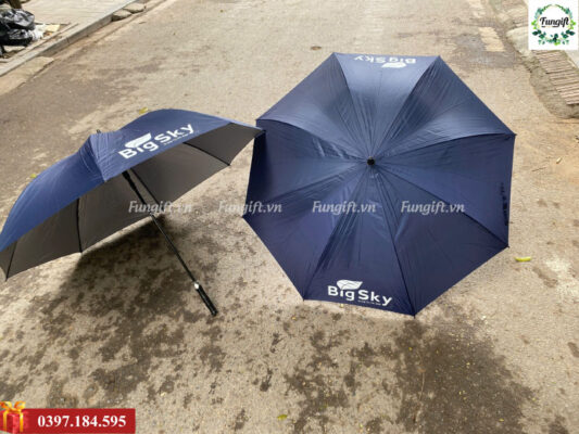 In logo lên ô cán dài