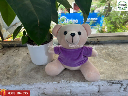 Mẫu gấu bông 20cm in tên cá nhân