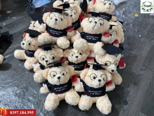 Mẫu gấu cử nhân in theo yêu cầu