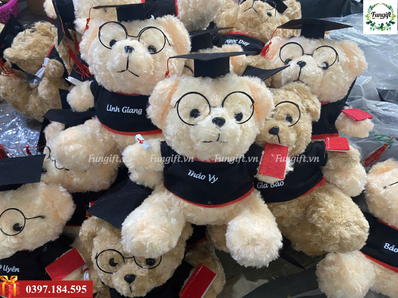 Gấu bông tốt nghiệp Hà Nội