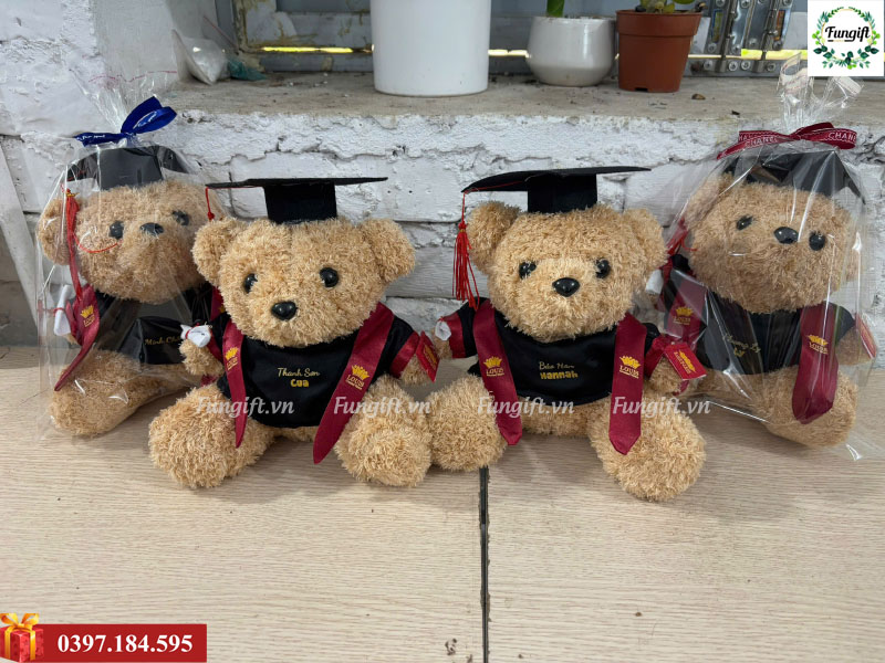Sỉ lẻ gấu đeo sash cử nhân