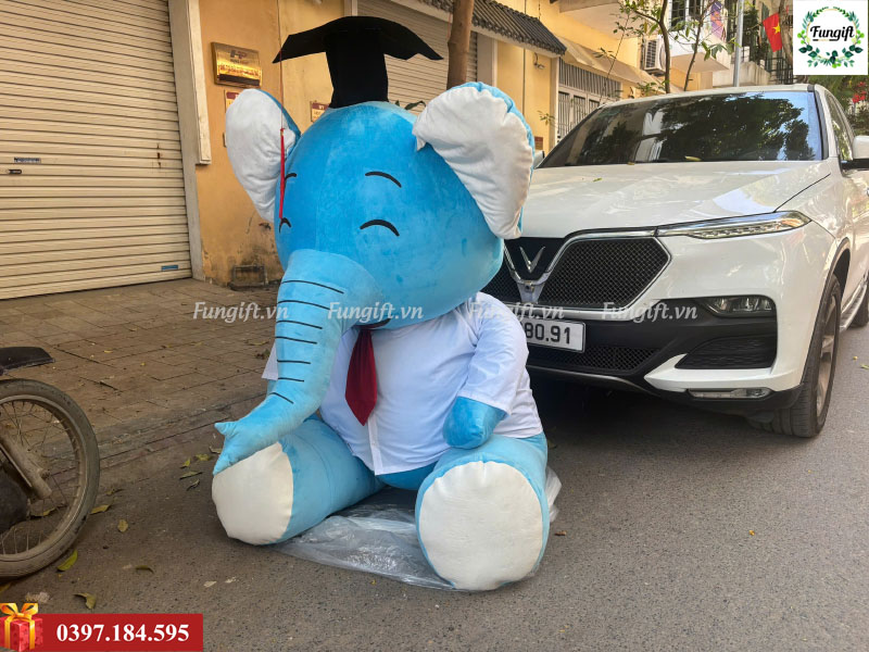 Gấu bông kích thước lớn