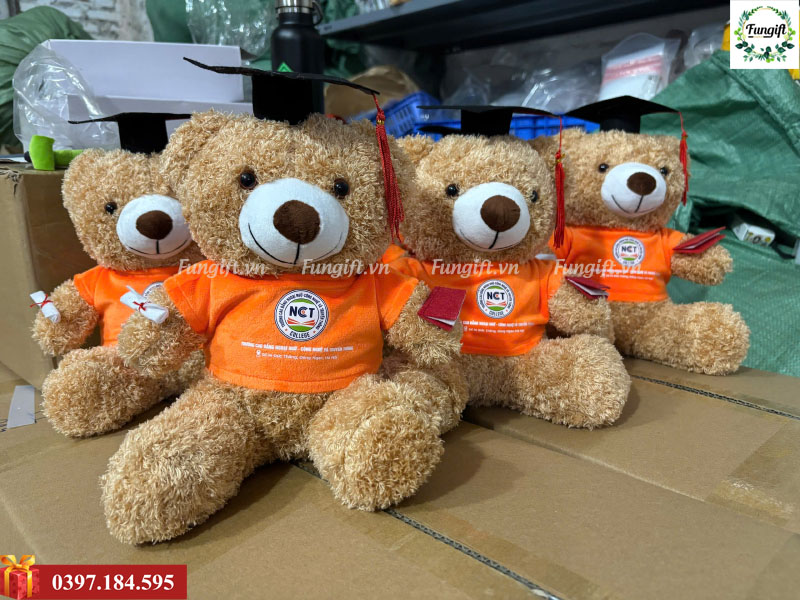 Gấu teddy tốt nghiệp quà tặng