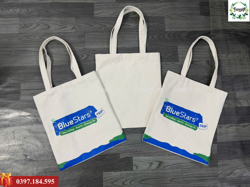 Mẫu túi vải canvas in theo yêu cầu